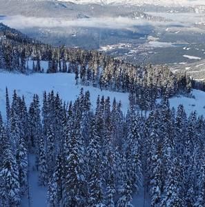 Meet your Posher, Narinder